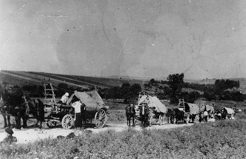 Archive---WEB-nb-petit